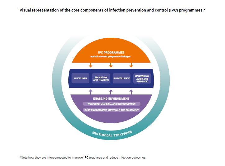 Representação visual dos componentes essenciais para os programas de prevenção e controle de infecções 25 Integração dos componentes Importância da conexão entre o programa de PCI e outros programas