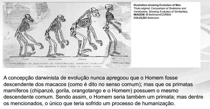 O conceito de evolução