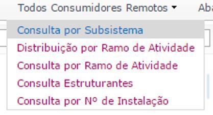 Os relatórios exibem informações relevantes como a demanda de consumo histórica, os principais consumidores por Ranking de Consumo, a comparação do consumo real com o BP