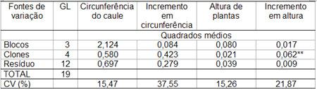 Resumo da análise de variância dos dados referentes a circunferência do caule, incremento em circunferência, altura de plantas e incremento em altura de cinco clones de seringueira cultivados em