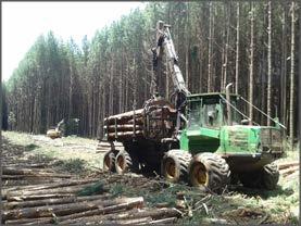 Carregamento: O carregamento de madeira pode ser feito tanto pelo forwarder como pelo carregador florestal.