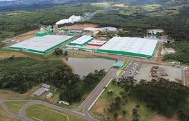 As unidades industriais de Araucária e Curitibanos possuem uma Fábrica de MDP, MDF/HDF e
