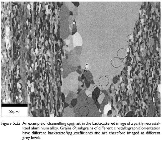 Microscopia