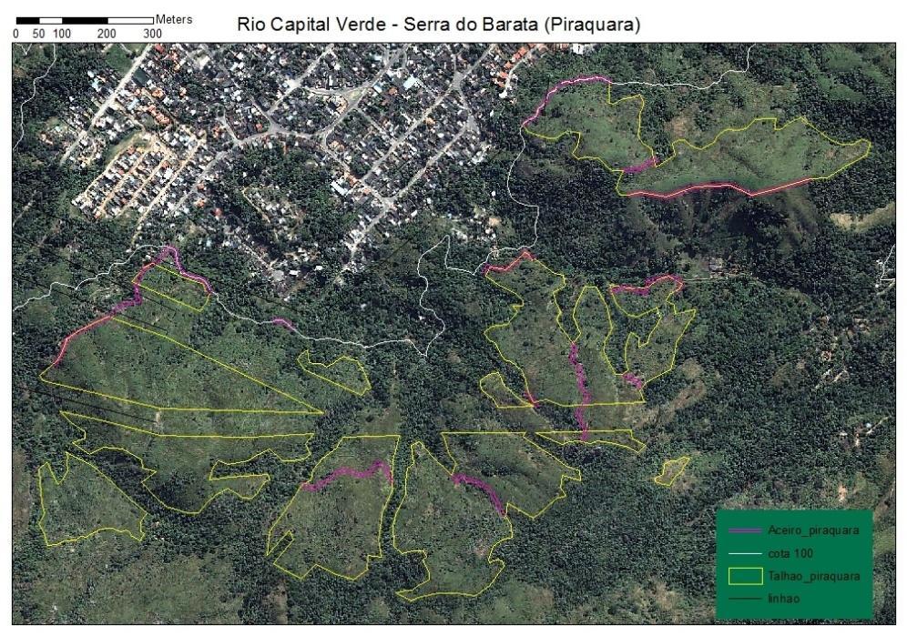 por grupos ecológicos, material necessário e quantidade, cronograma físico de implantação e manutenção por setor, quadro geral de implantação e quadro de