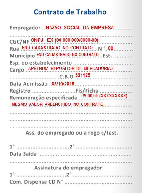 Página Anotações Gerais A empresa deve especificar o tipo de contrato (Contrato de Aprendizagem), o período (data de