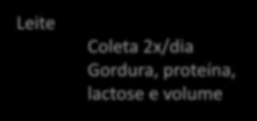 - 5-4 -3-2 -1 0 1 2 3 4 5 6 Semanas Leite