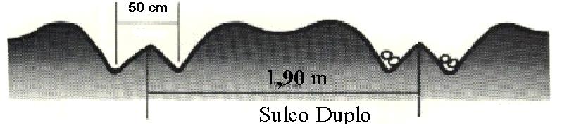 Sulco