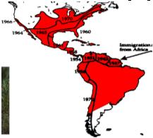 Biogeografia cladística Séc XX-XXI Desenvolvido baseado na panbiogeografia Refuta dispersão como principal explicação Vários métodos, BPA, Paralogy-Free, Análise de Componentes MacArthur & Wilson,