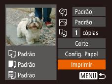 Conecte a impressora à rede. No menu de configurações de Wi-Fi da impressora, escolha o SSID (nome da rede) exibido na câmera para estabelecer uma conexão. Escolha a impressora.