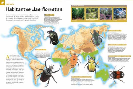 Uma obra editorial para apr ender e para divertir-se Descubra a obra mais completa dedicada a insetos, aranhas e outros bichos.