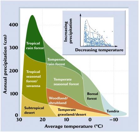 floração: Início da floração de plantas da Inglaterra em 2000 começou 4,5 dias antes do que era em 1991