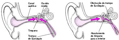 O tubo de Eustáquio Conecta o ouvido médio à boca: Drena fluídos produzidos no ouvido médio Equaliza a pressão do ouvido médio com a pressão externa quando se abre Permanece fechado a maior parte do