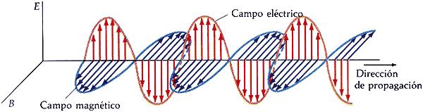 Ondas eletromagnéticas - Luz São formadas pela combinação de campos elétricos e magnéticos variáveis; O campo elétrico e o campo magnético são perpendiculares; O campo elétrico e o magnético são