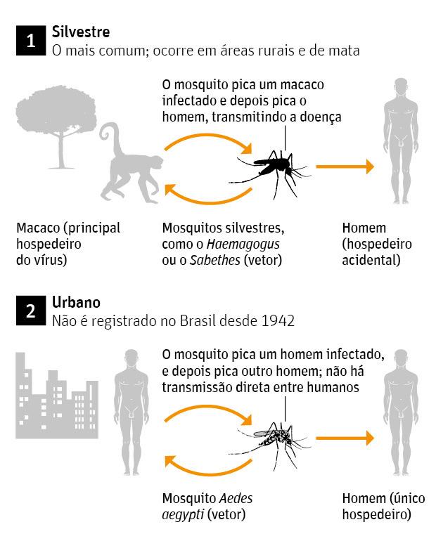 FEBRE AMARELA A febre amarela é uma doença infecciosa causada por um vírus e transmitida por mosquitos.