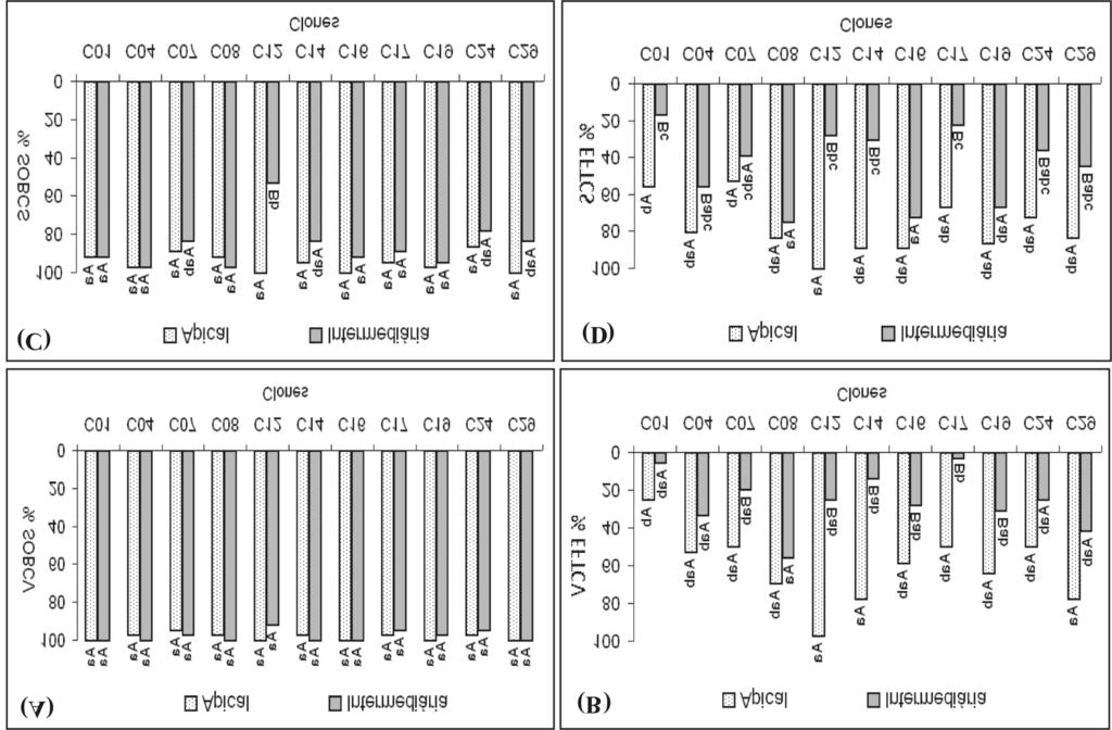 Enraizamento de miniestacas de clones... 429 (Figura 2C), de modo geral esta também apresentou valores altos nas miniestacas apicais (maiores que 86 %).