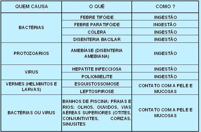 Fonte: Campanha da Fraternidade 2004 Fraternidade e