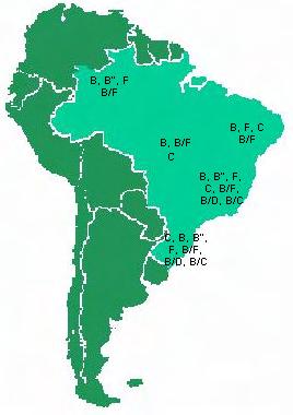 32 com casos esporádicos dos subtipos F e C e recombinantes B/F (Couto-Fernandez, Morgado et al., 1999; Gadelha, Shindo et al., 2003; Monteiro, Alcantara et al., 2009).