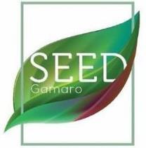 SEED ROCONTEC Rua João Rodrigues