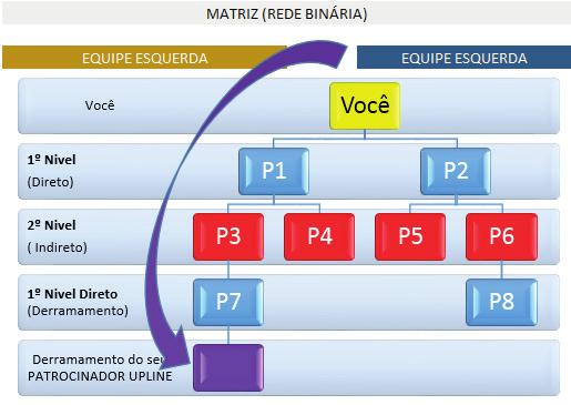 Quadro Demonstrativo Derramamento (Transbordo) CONCLUSÃO: O Sistema nomeia da seguinte forma essa movimentação na matriz binária: O Executivo (P8) tem como PATROCINADOR UNILEVEL (VOCÊ) e como