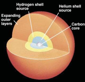 M maior que ~8 massas solares. Estrelas de alta massa A evolução é muito rápida. Antes de se tornar uma gigante vermelha começa a queima de He.