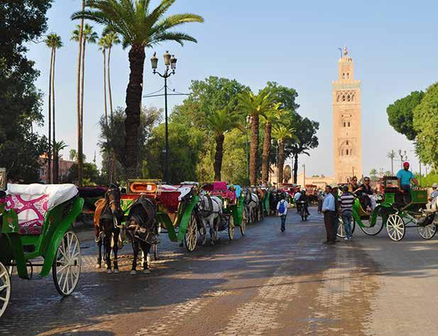 8º Dia Marrakech Apx. 10 Km, para fazer a pé... ou mais, se houver pernas para isso!