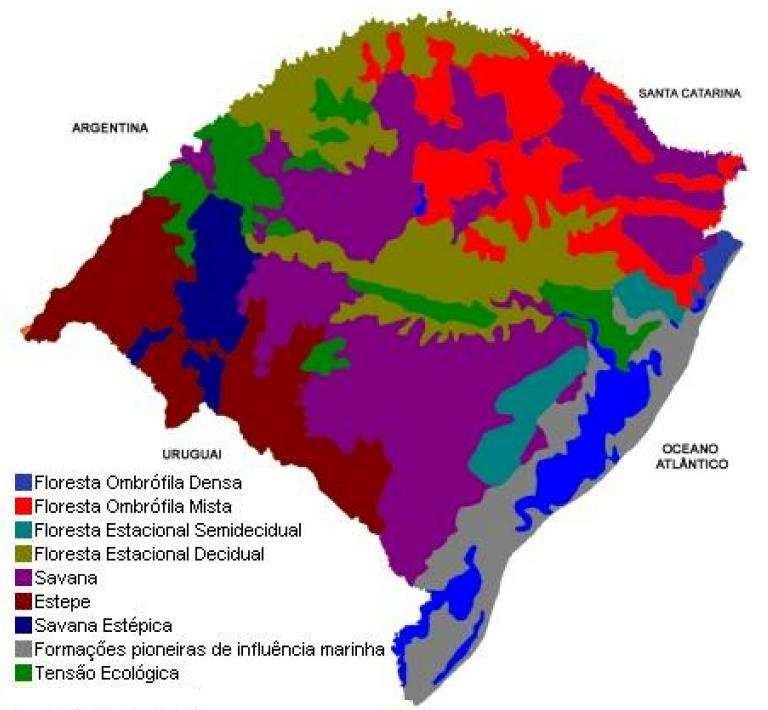 Figura 1 - Mapa fitogeográfico do Estado do Rio Grande do Sul (adaptado de SEMA-RS/UFSM, 2001).