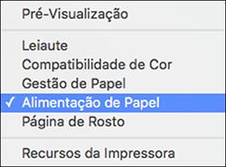 Selecione as opções de configuração de página: Tamanho do Papel e Orientação.