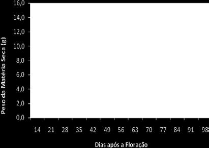 Na plena floração que foi observada no dia 31/08/11 na cultivar Eva e no dia 12/09/11 na Princesa foi realizada a seleção de 20 plantas ao acaso e a marcação com etiquetas de 20 flores por plantas de