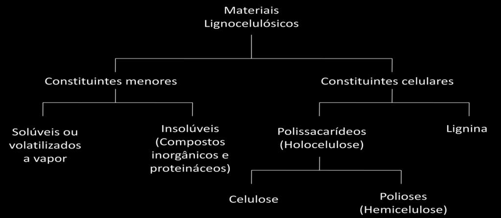 A celulose é considerada o polímero natural de maior ocorrência no mundo e encontra-se na estrutura básica das células de todas as plantas respondendo por cerca de 40% de toda reserva de carbono