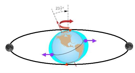 Consequência das forças de marés (da Lua) na Terra: precessão do eixo de