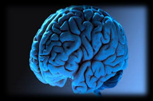 Uso de Células-Tronco Cérebro: Regeneração de neurônios;