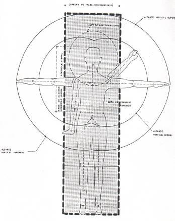 ESPAÇO DE ATIVIDADE: O CORPO HUMANO OCUPA