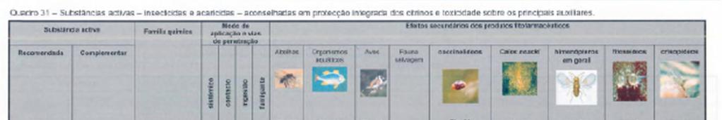 7. Luta química