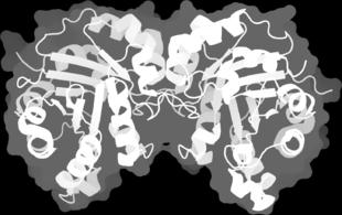 conformidade com a autorização dada; Número de identificação da International Union of Biochemistry;