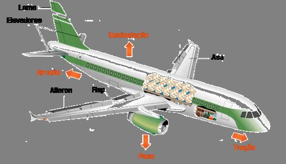 1. Sustentação: Componente da Resultante Aerodinâmica