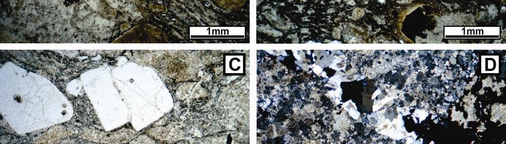 presentes no litotipo (nicóis cruzados); (B) Fragmentos vítreos e de cristais de quartzo do tufo de cristais