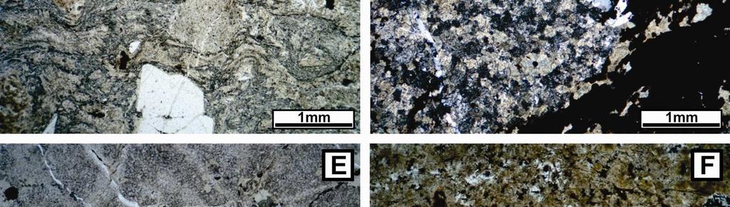 fragmentos de cristais de quartzo e feldspato (nicóis descruzados); (D) Aspecto microscópico da alteração