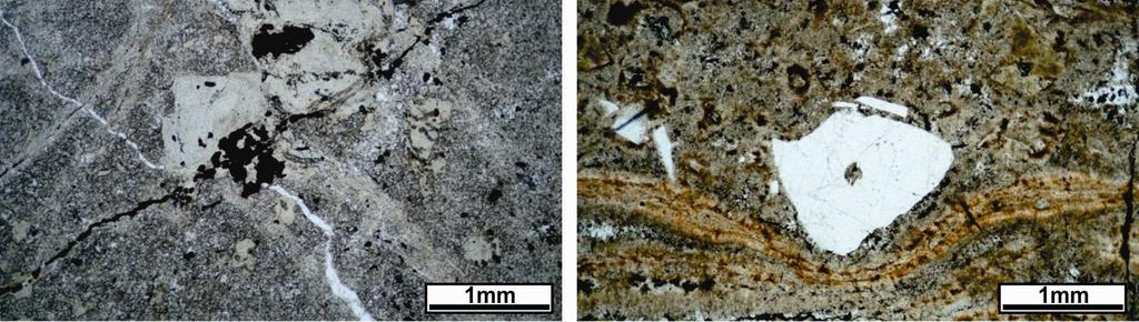 Notar obliteração das texturas originais e elevada quantidade de veios de quartzo (nicóis descruzados); (E)
