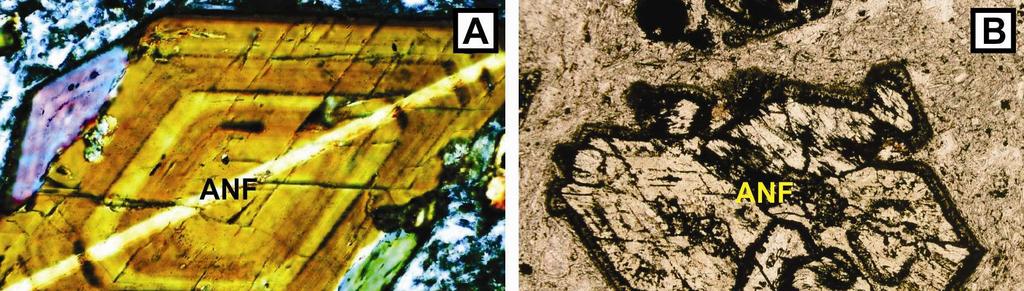 Figura 9.3 Aspectos microscópicos das rochas da fácies com predominância anfibólio na Formação Sobreiro.