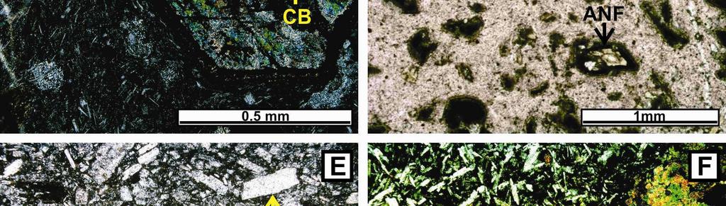 carbonato (nicóis cruzados); (D) Megacristais mais finos e abundantes, exibindo também bordas alteradas para opacos (nicóis