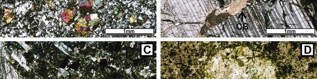 Megacristais de quartzo ocorrem nas amostras mais evoluídas, geralmente euhédricos a subeuhédricos, com secções hexagonais e com indícios de reabsorção magmática. Figura 9.