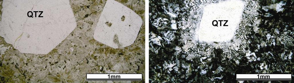 com feições de reabsorção magmática (nicóis descruzados); (F) Megacristal de quartzo gerando