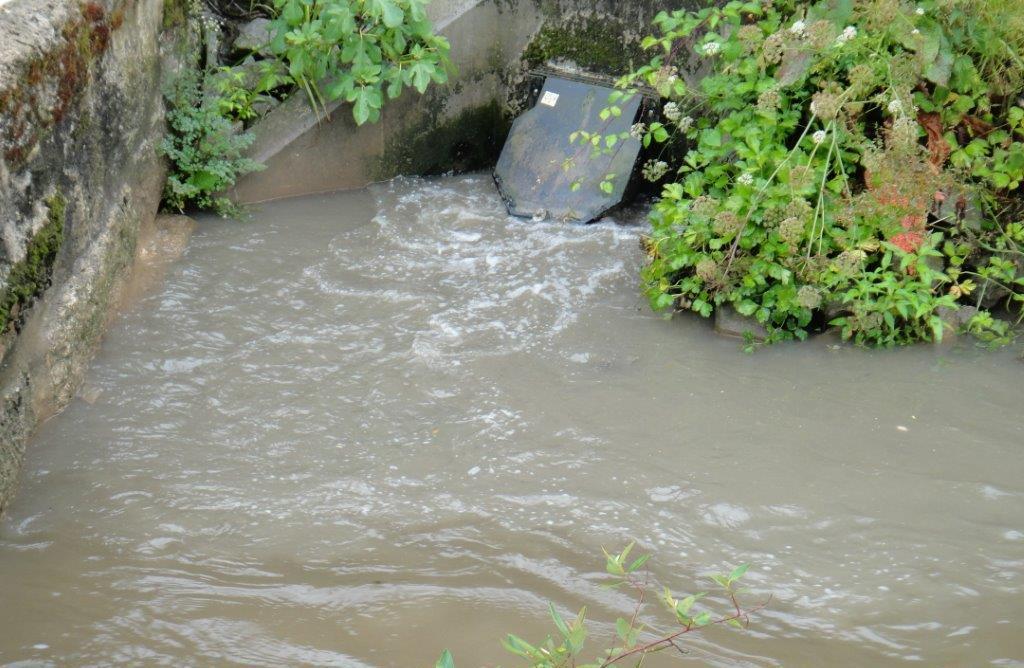 aquático, com impactes significativos na fauna e flora das massas de água