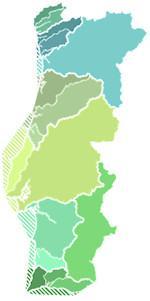 Enquadramento territorial 8 regiões hidrográficas em Portugal Continental Norte Centro 5 departamentos regionais Tejo e