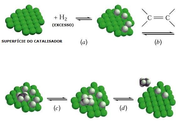 A hidrogenação ocorre na superfície do catalisador (Figura 01), é essencial que tenha uma grande superfície de contato.