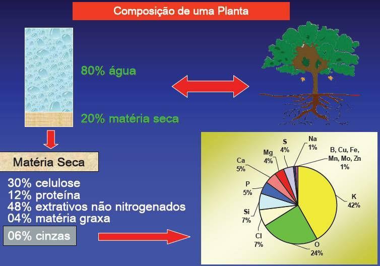 Meios que contribuem com elementos químicos essenciais para composição das plantas: Ar
