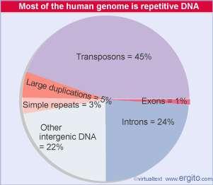 Genes 11 O