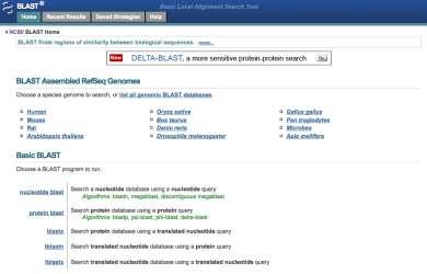 BLAST Blast Local Alignment Search Tool