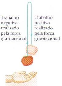 Forças Conservativas e Não- Conservativas Suponha que um tomate seja arremessado para cima.