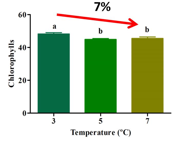 Efeito humidade e temperatura antes do embalamento 153% 17% 7% Redução